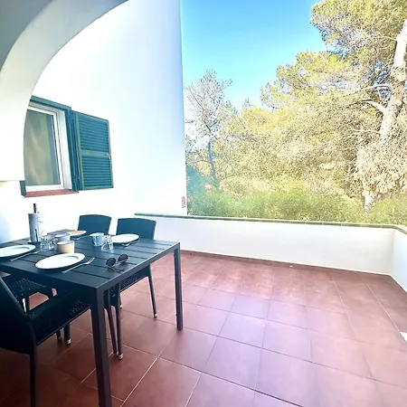 Addaia بورت دادايا